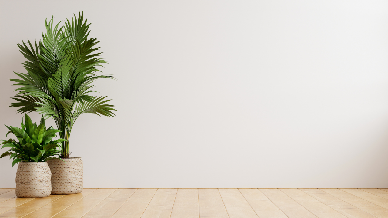 The Ultimate Roundup For Best Office Background Zoom Wallpaper