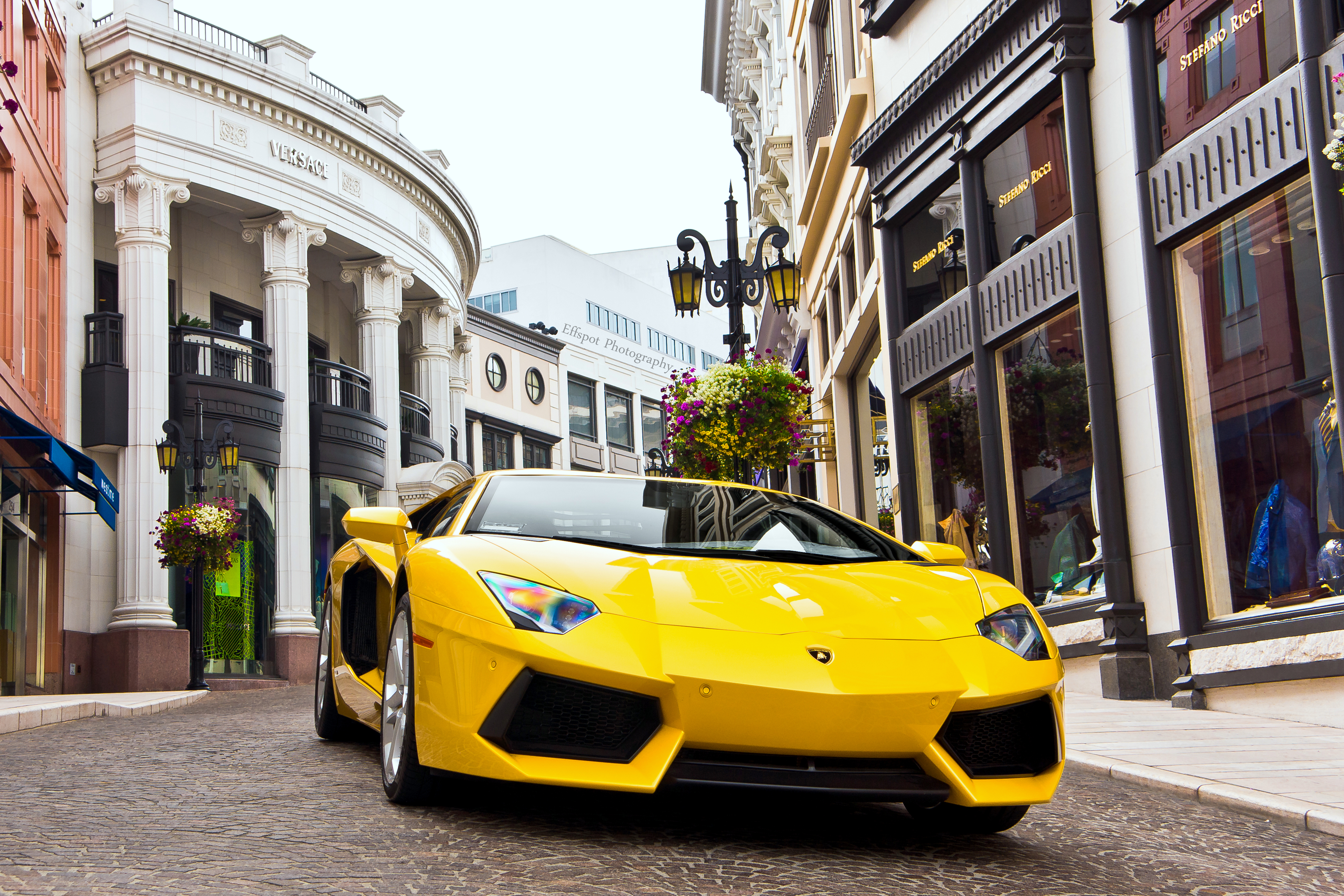 Tamed Bull on Rodeo Drive Flickr   Photo Sharing