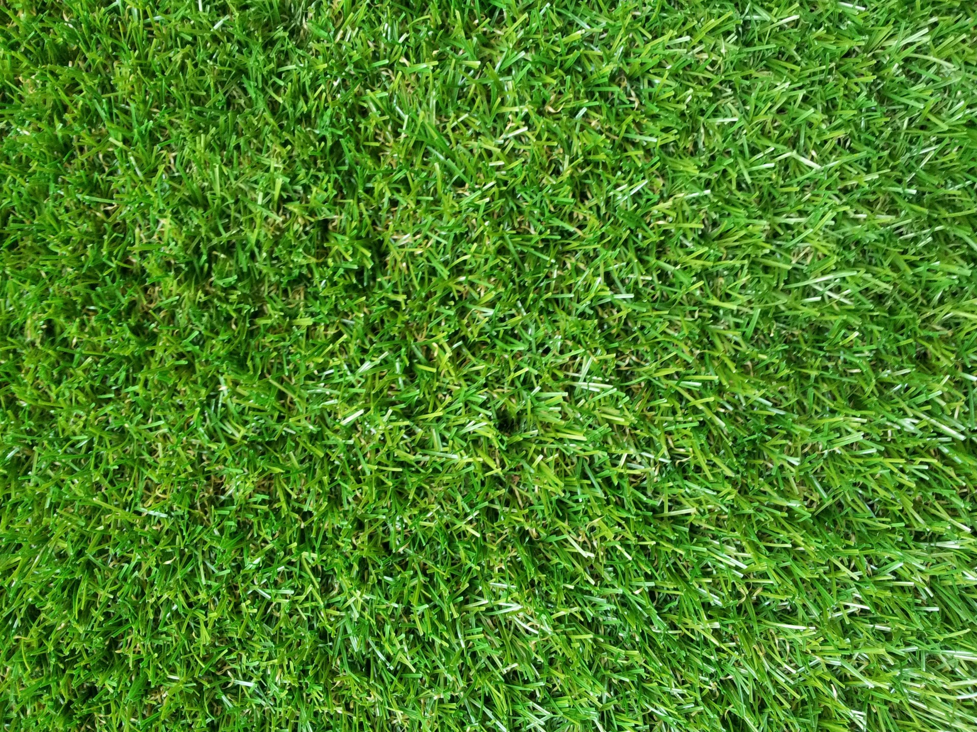 False Green Grass Wallpaper Free Stock Photo HD   Public Domain