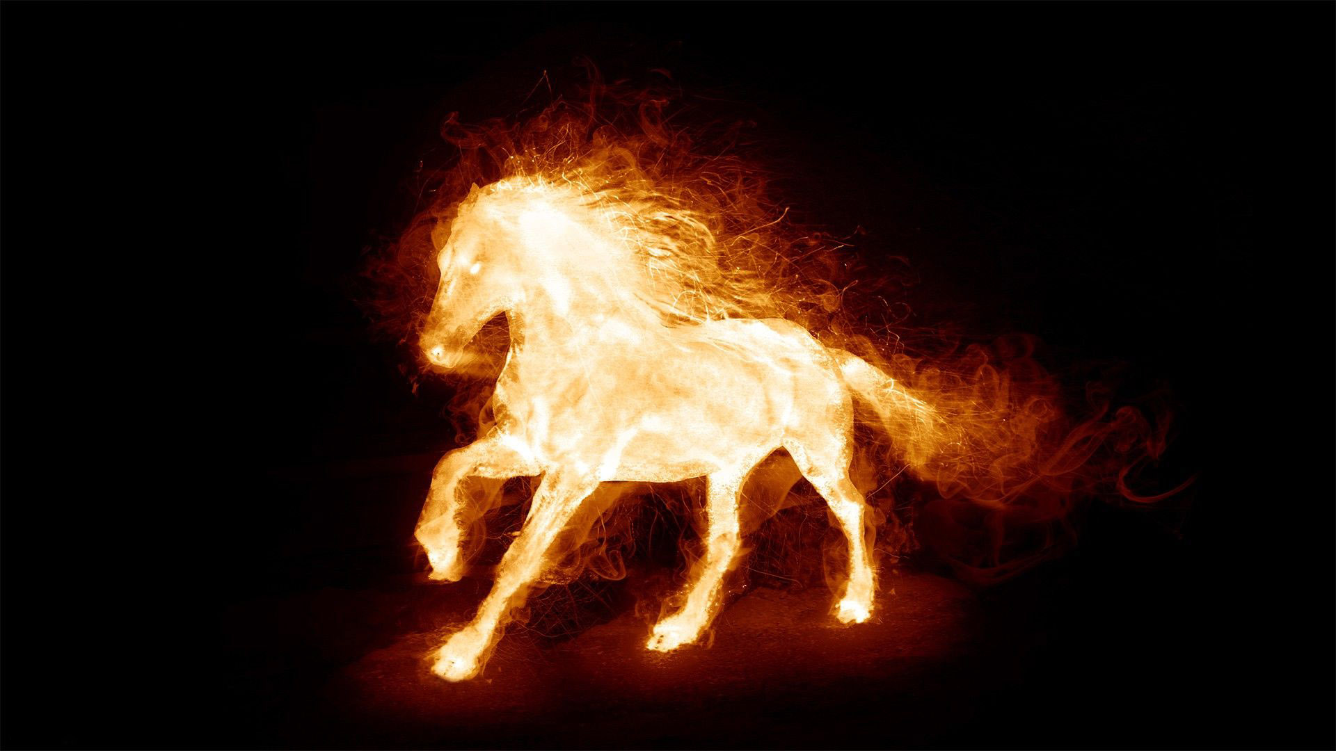 Animated Fire Horse Gif HD Wallpaper Background
