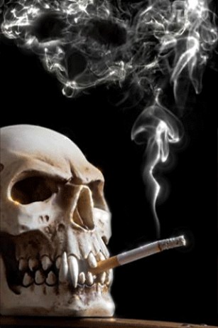 Download Smoking Skull Live Wallpaper for Android by