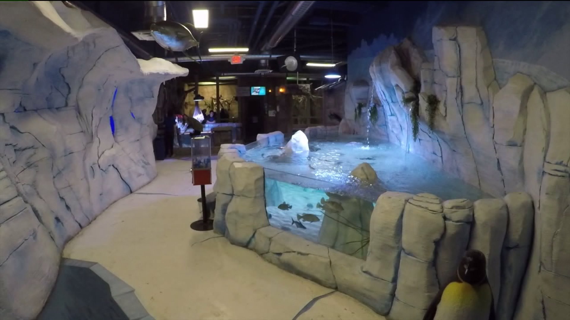 Seaquest Fox31 Denver