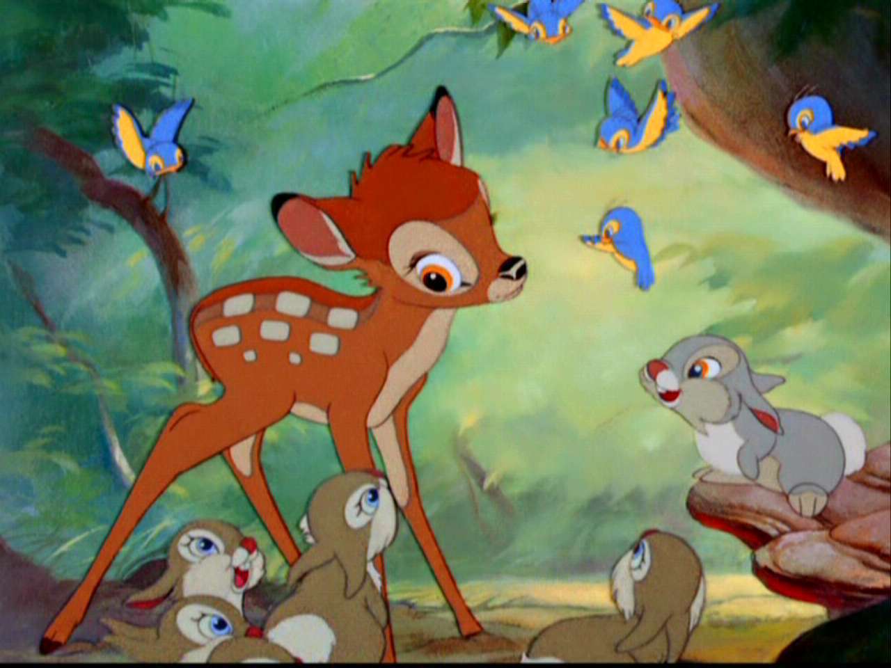 Bambi Image HD Wallpaper And Background Photos