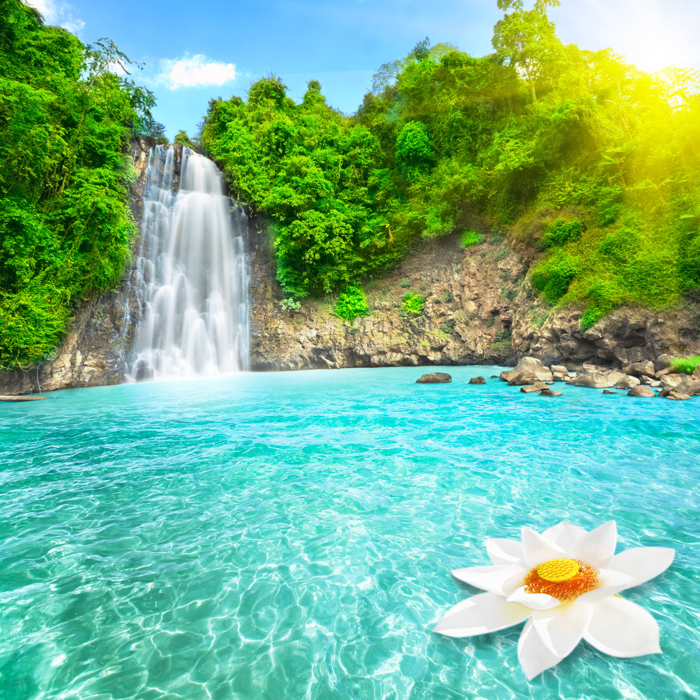 Paradise waterfalls swans art paradise waterfall flowers beautiful  spring river lake forest HD wallpaper  Pxfuel