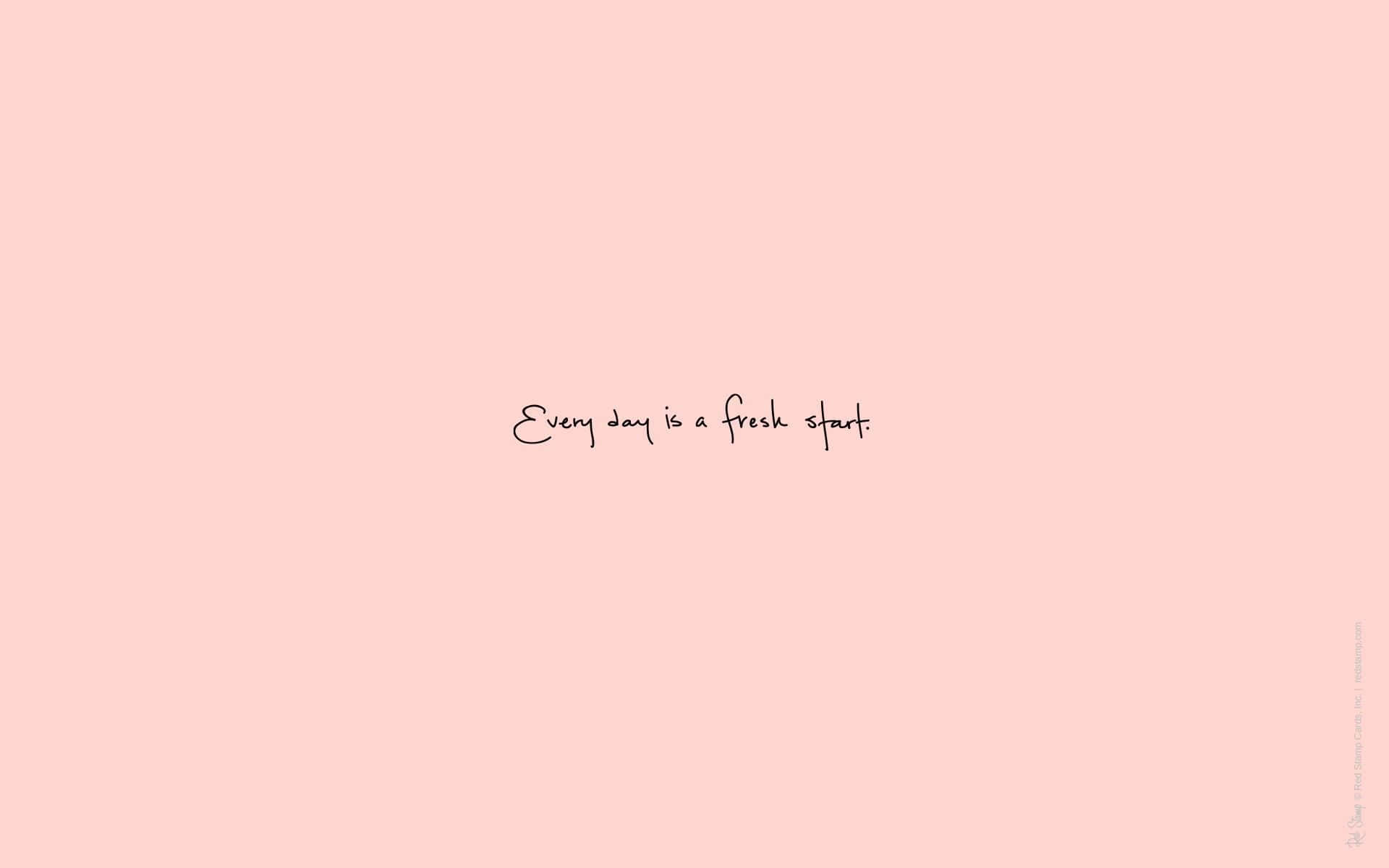 Plain Pink Desktop Wallpaper