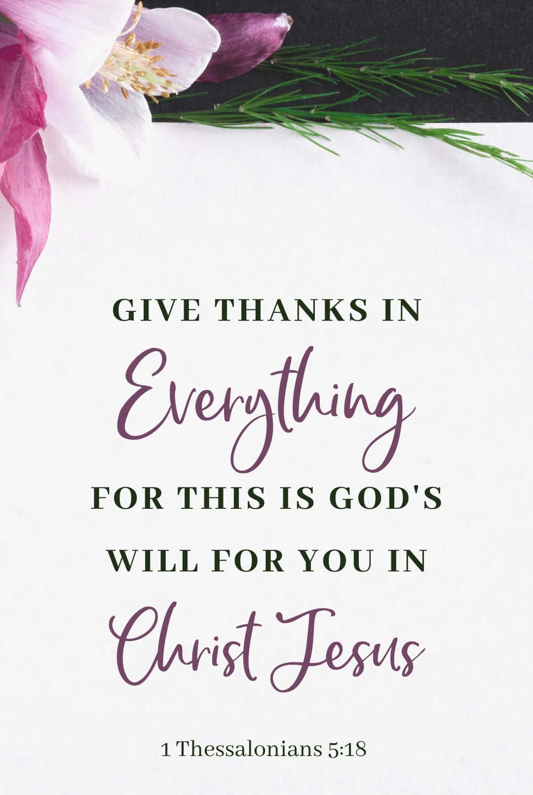 Bible Verse Phone Wallpaper