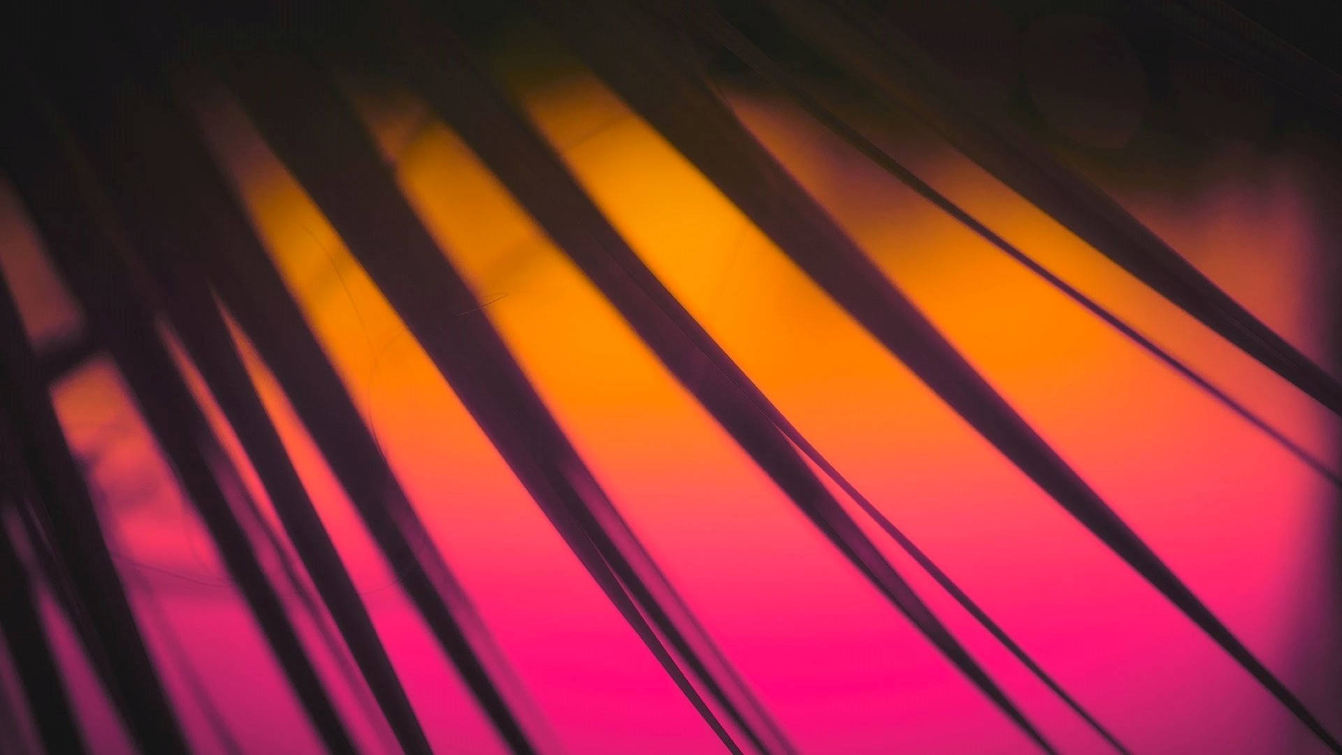 Neon Pink Aesthetic Wallpaper
