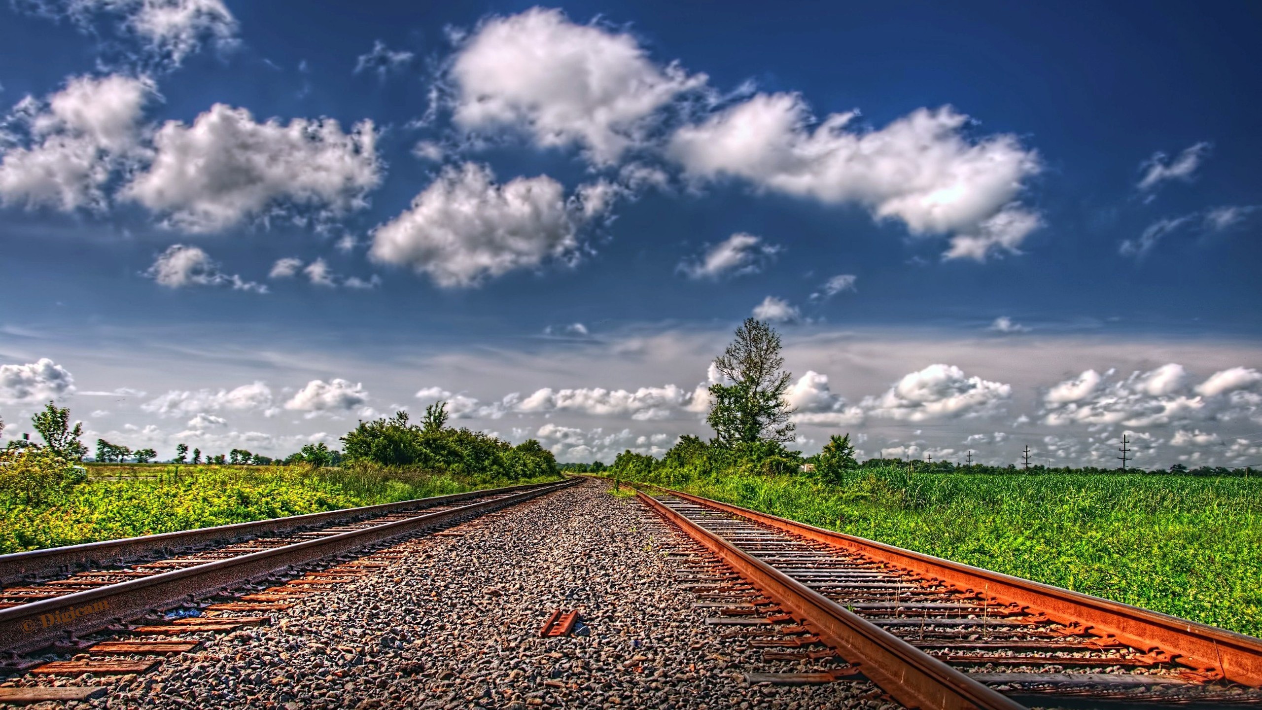 Landscape Railway Full HD Wallpaper And Background Image