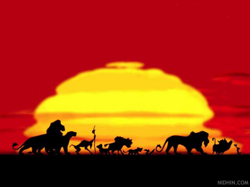 My Top Collection Lion king wallpapers 4