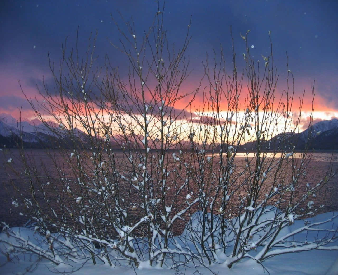 Winter Solstice Wallpaper