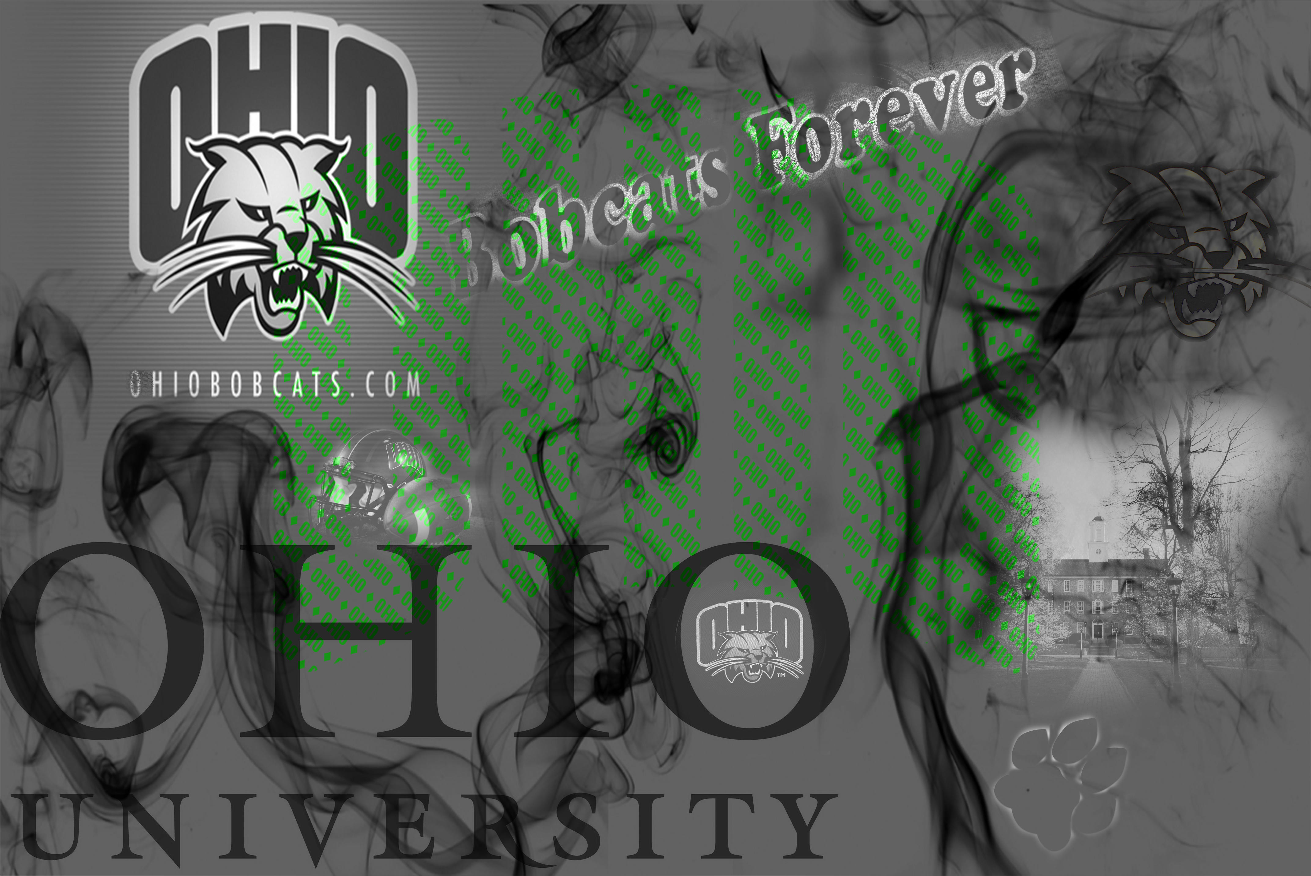 Ohio University Image Celebritypixx