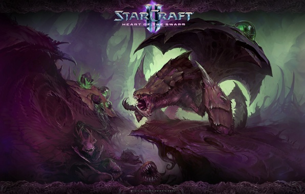 Heart Of The Swarm Roevik Zerg Wallpaper Photos Pictures