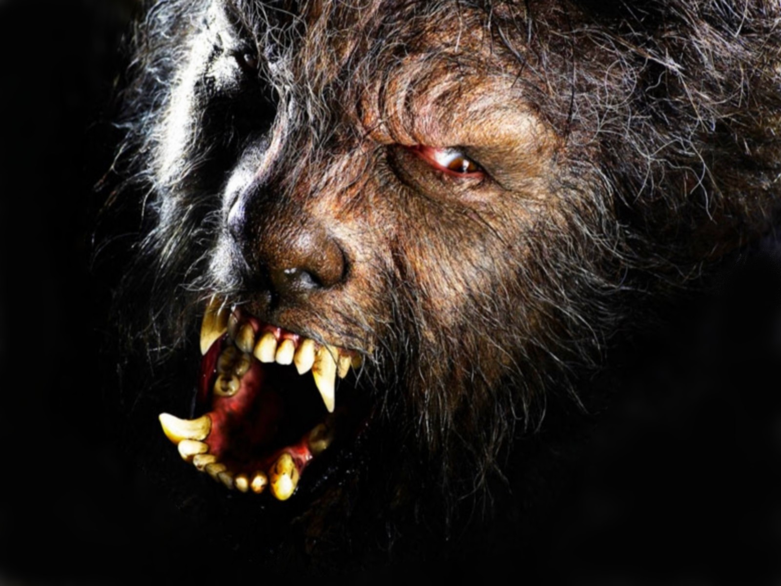 Werewolf Wallpaper Background