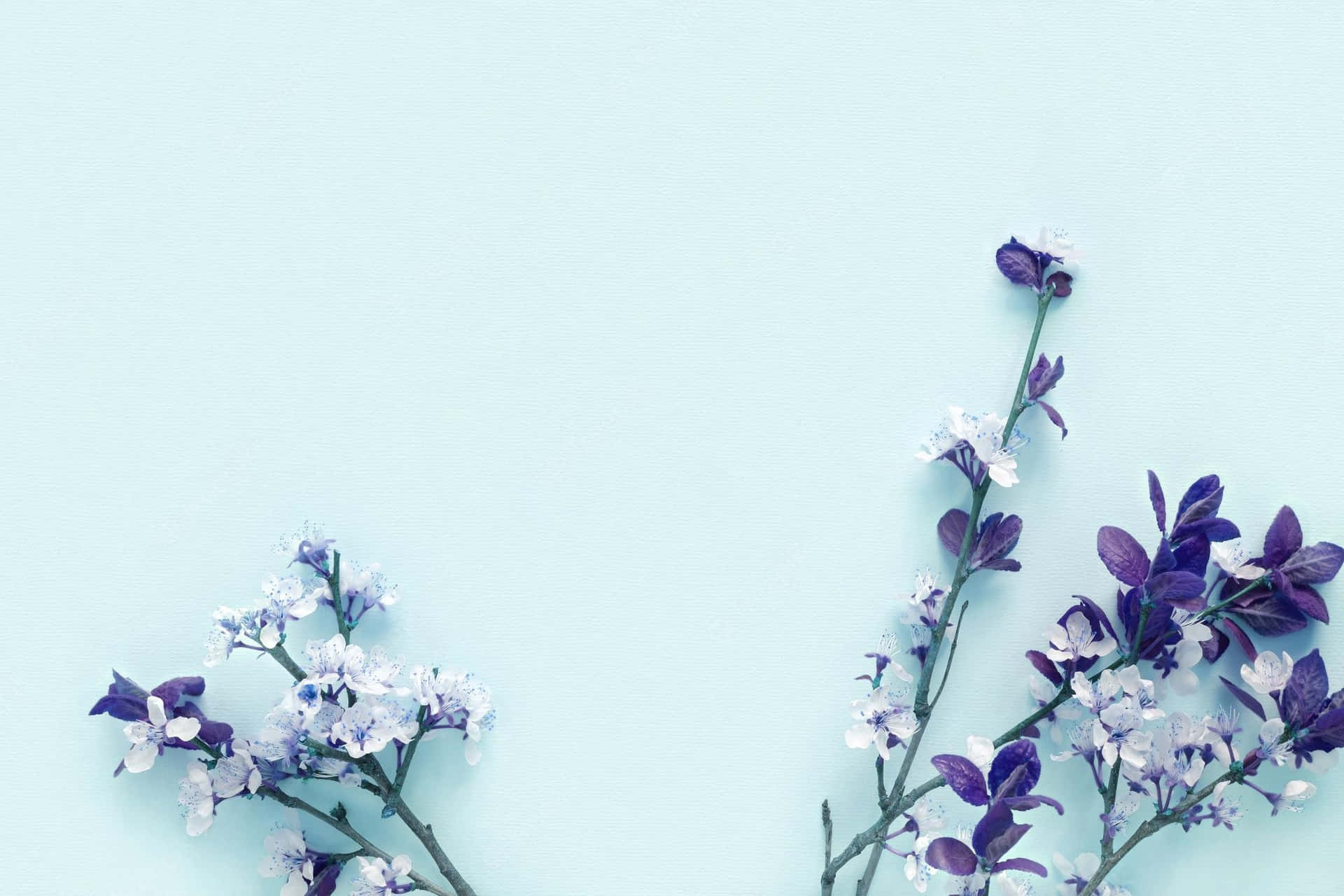 Blue Flowers Aesthetic Wallpaper