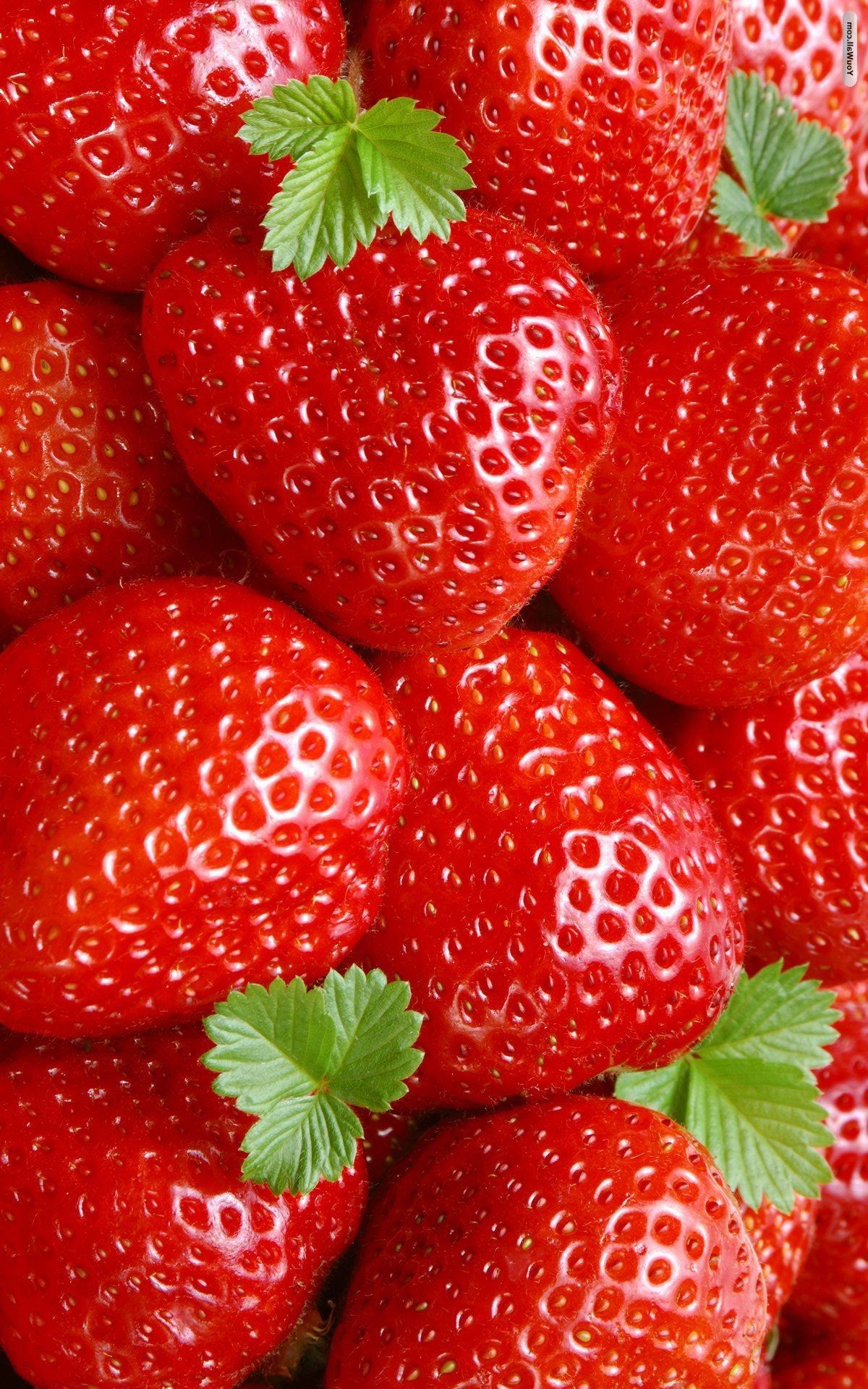 Strawberry Wallpaper Top Background
