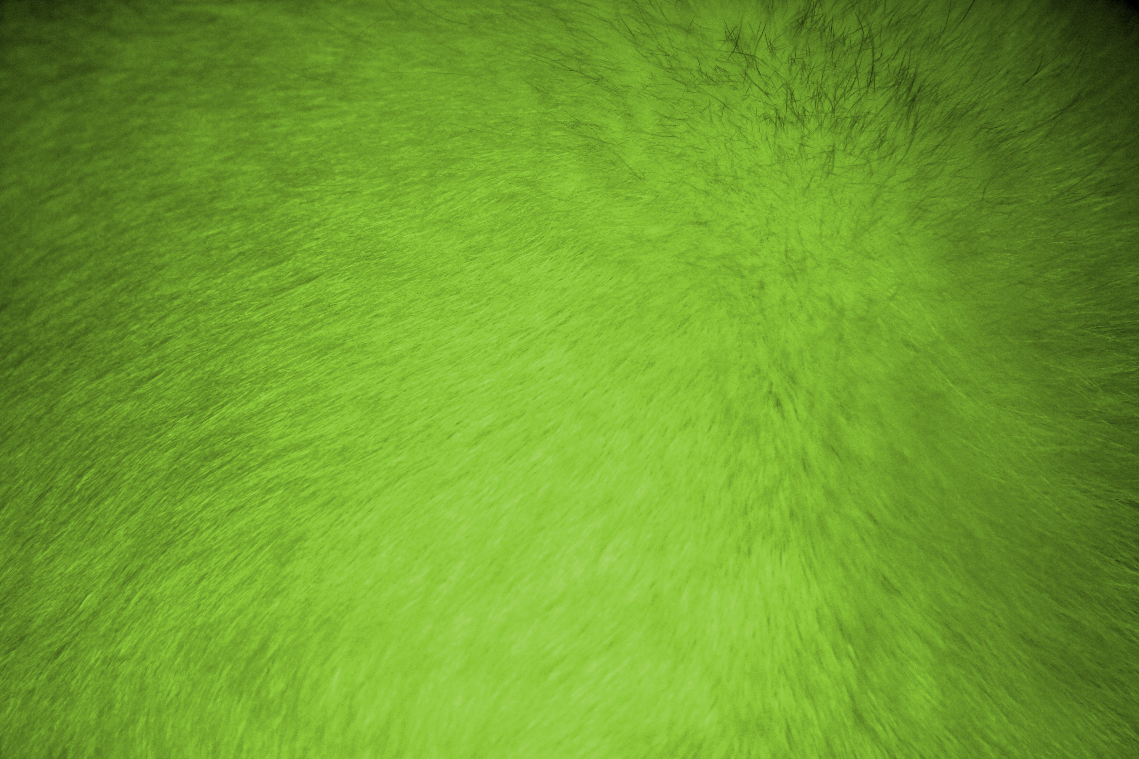 Lime Green Fur Texture High Resolution Photo Dimensions