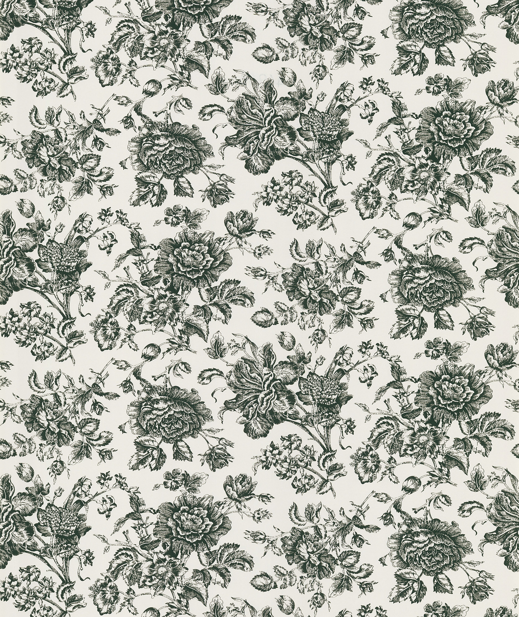 Pavot Floral Toile Wallpaper In Cream By Brewster Home Fashions