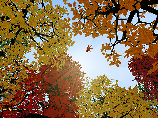Visual Paradox 3d Wallpaper Autumn Sun Multiple Sizes