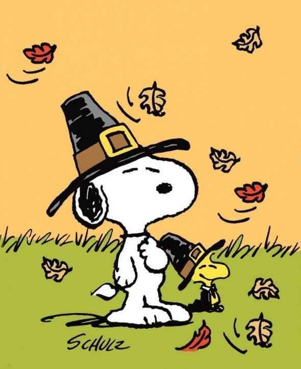Snoopy And Woodstock Celebrating Thanksgiving
