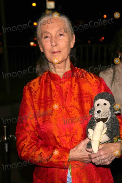 Photos And Pictures Jane Goodall At The Jules Verne