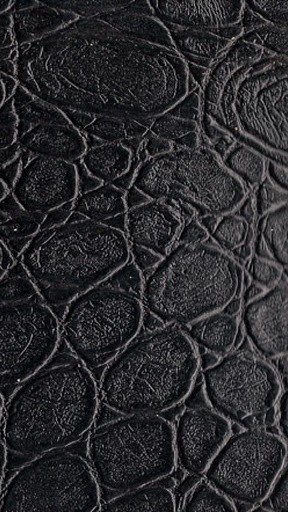 Alligator Skin Wallpaper Crocodile skin wallpapers 288x512