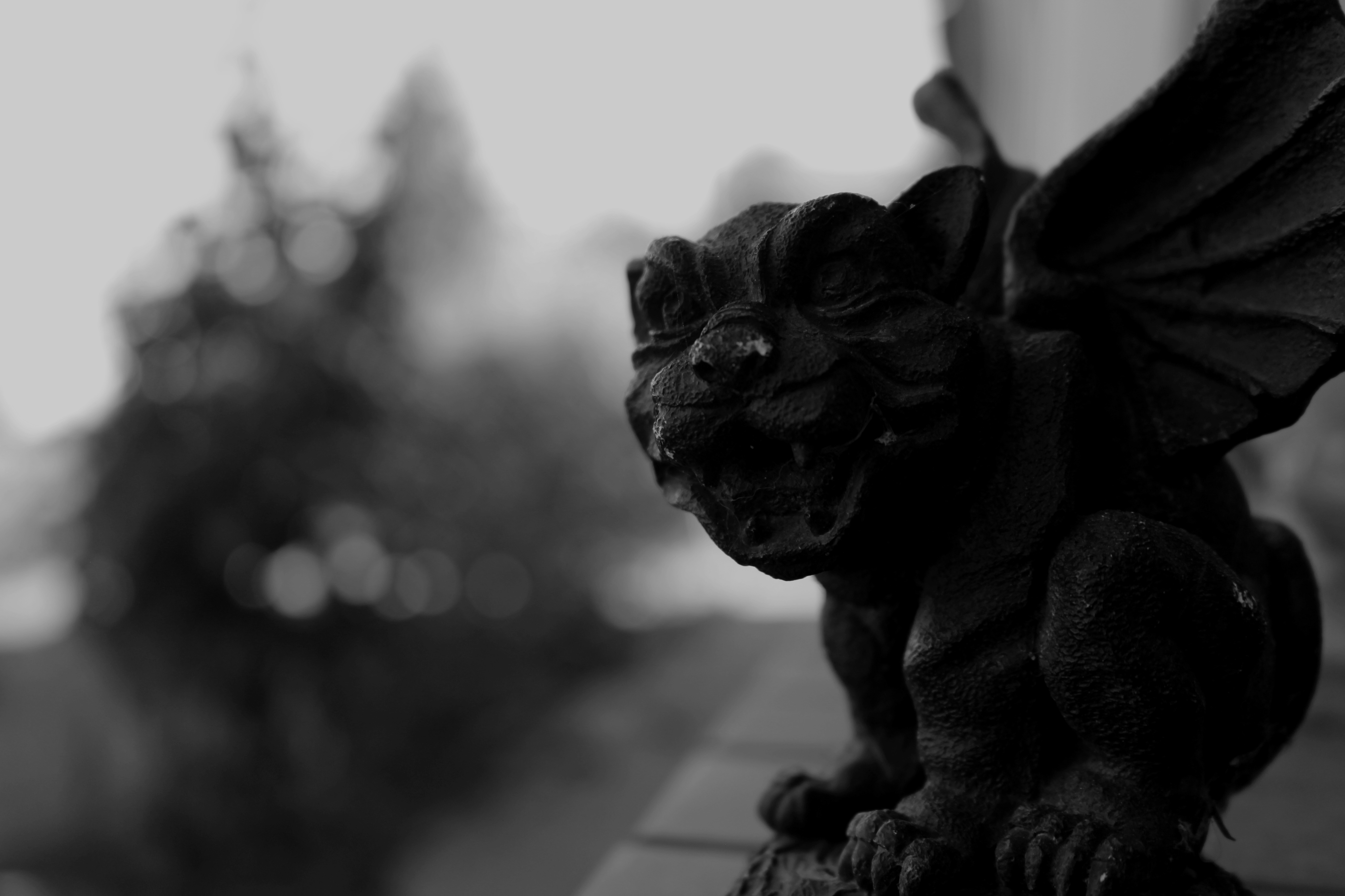 Gargoyle HD Wallpaper And Background