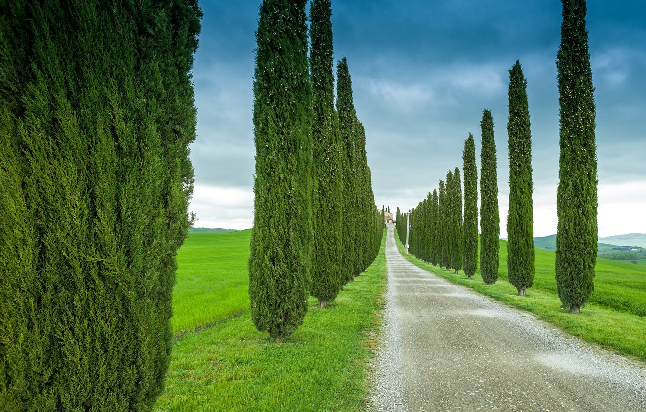 Wallpaper Road Field The Sky Trees Clouds Italy Cypress