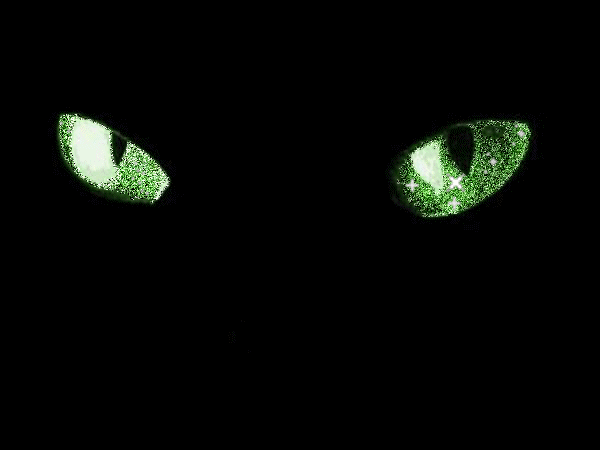 Green Cat Eyes Glitter Bling Glitters And Animated Background