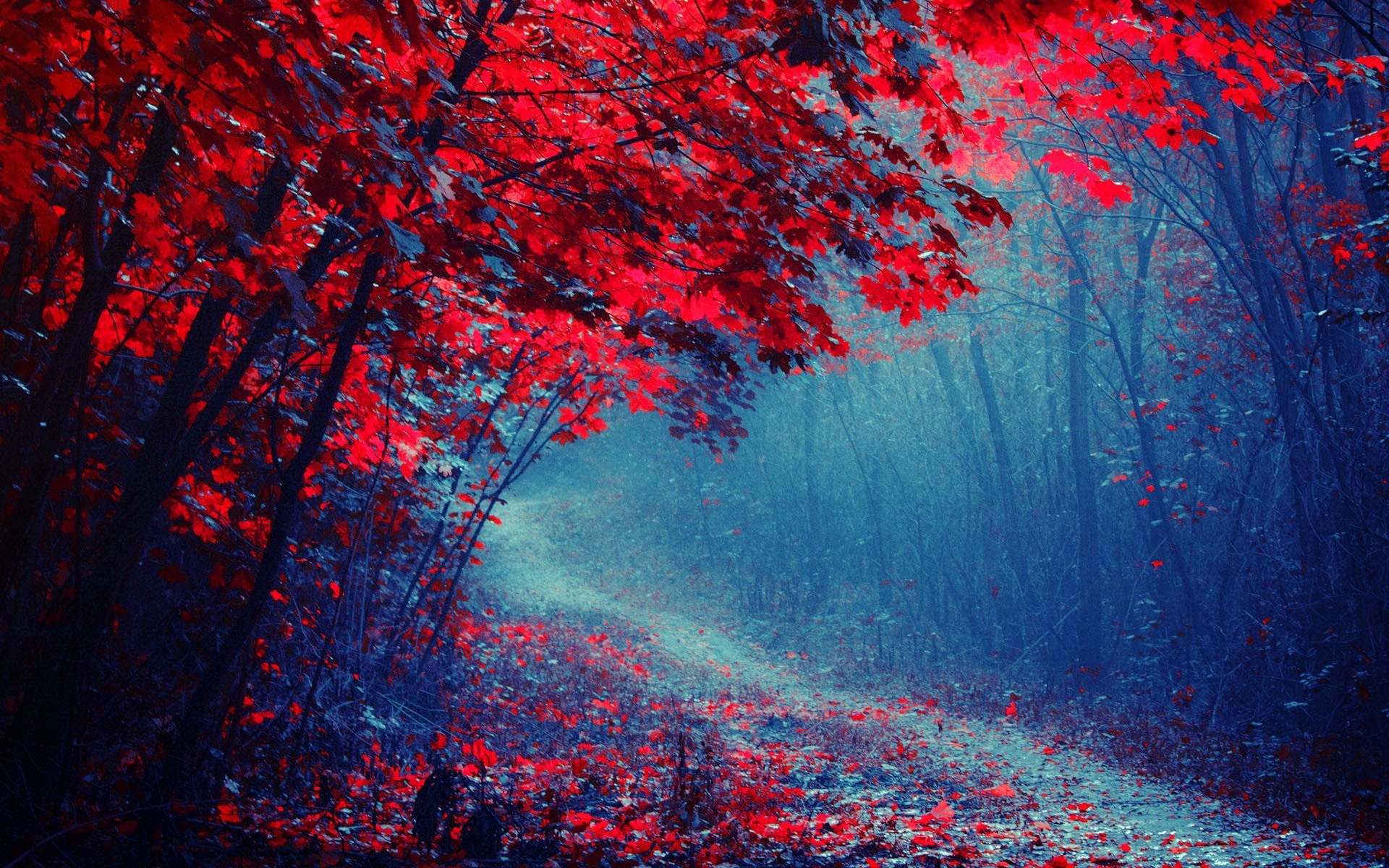 Purple Tree Wallpaper