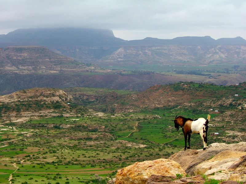 World Best Collections Of Photos And Wallpaper Ethiopia