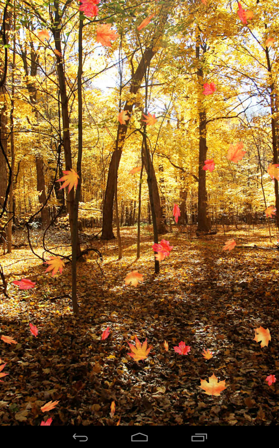 🔥 Free download Autumn Wallpaper Android Mobile Analytics and App Store