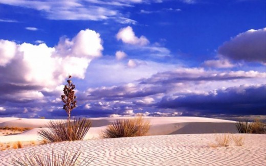 Most Beautiful Desert Wallpaper To Dotcave