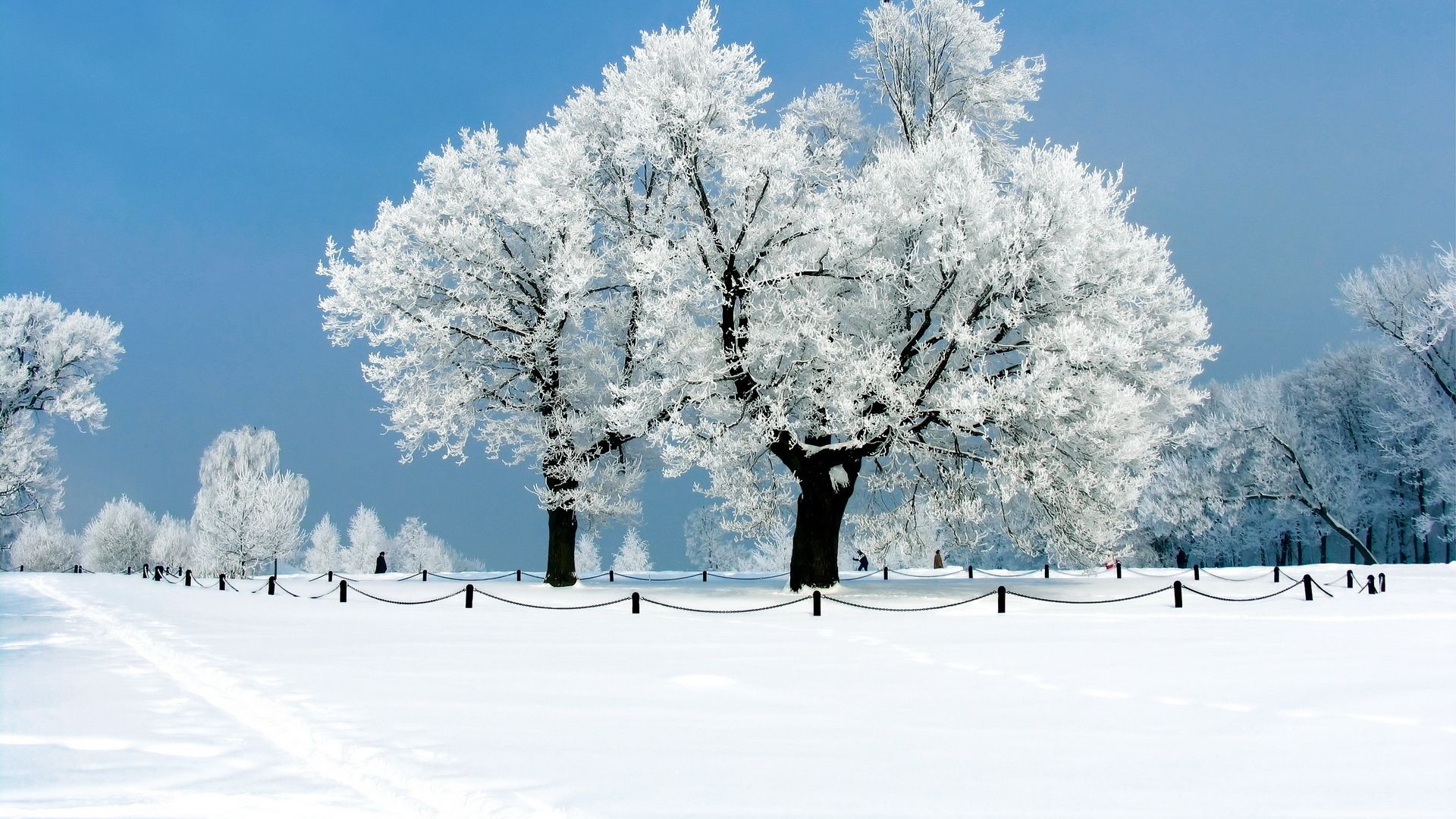 Beautiful Winter Wallpaper HD X 1080p Premium
