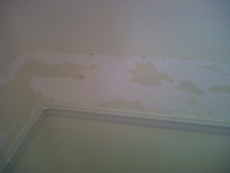 Wallpaper Removal Problems General Diy Discussions Chatroom