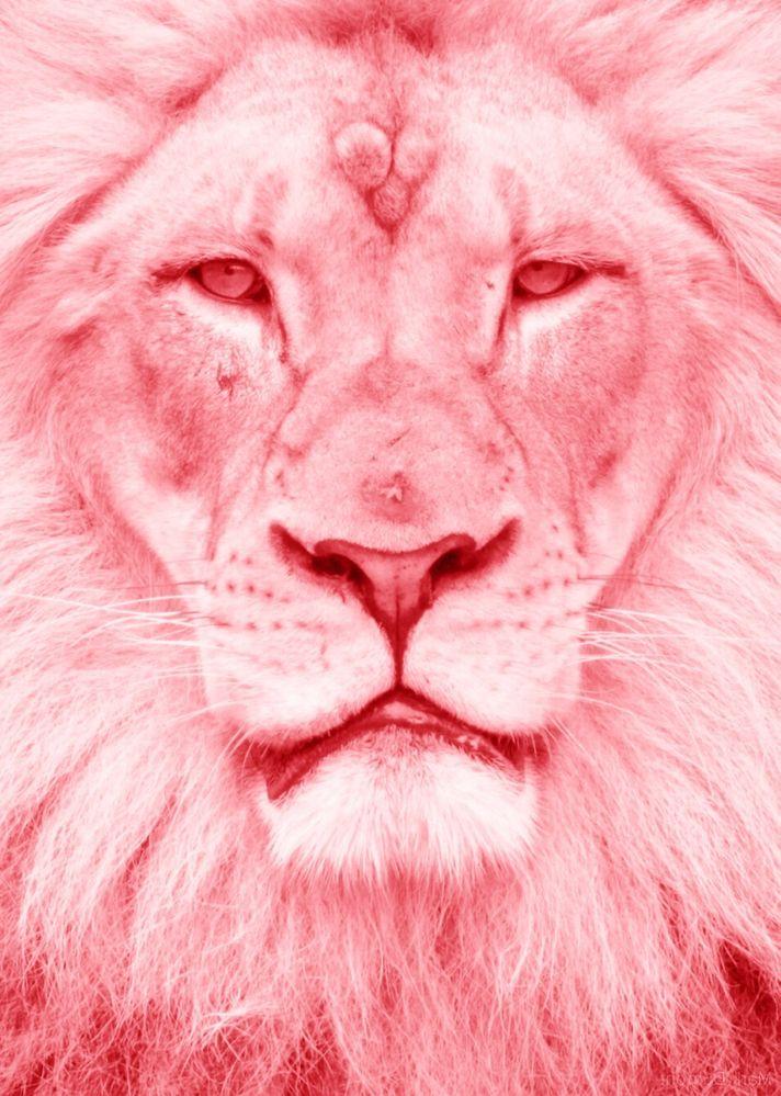 Pink lion Framed Art Print by Glitch Vector Black MEDIUM