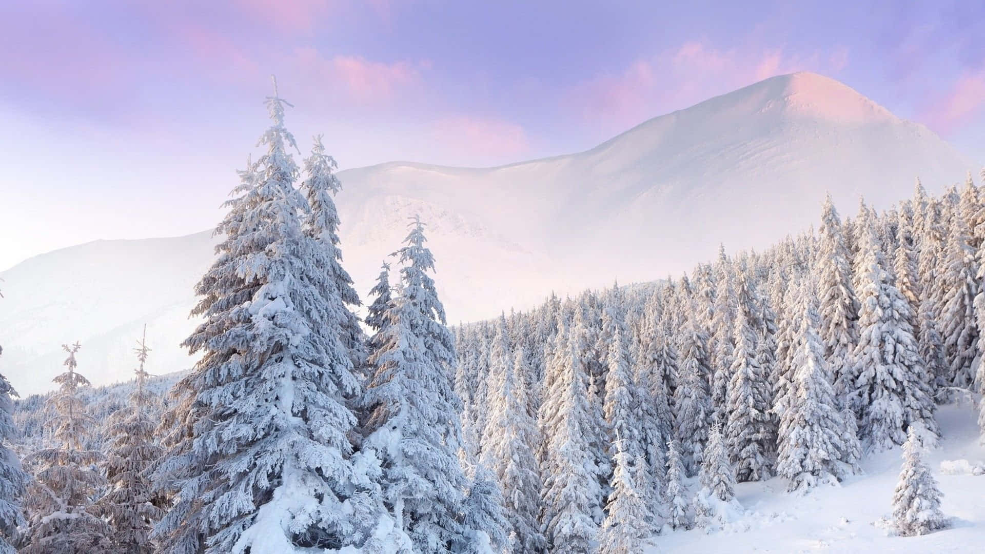 A breathtaking 4K wallpaper showcasing a snow-covered forest and mountain range under a soft, pastel-colored winter sky