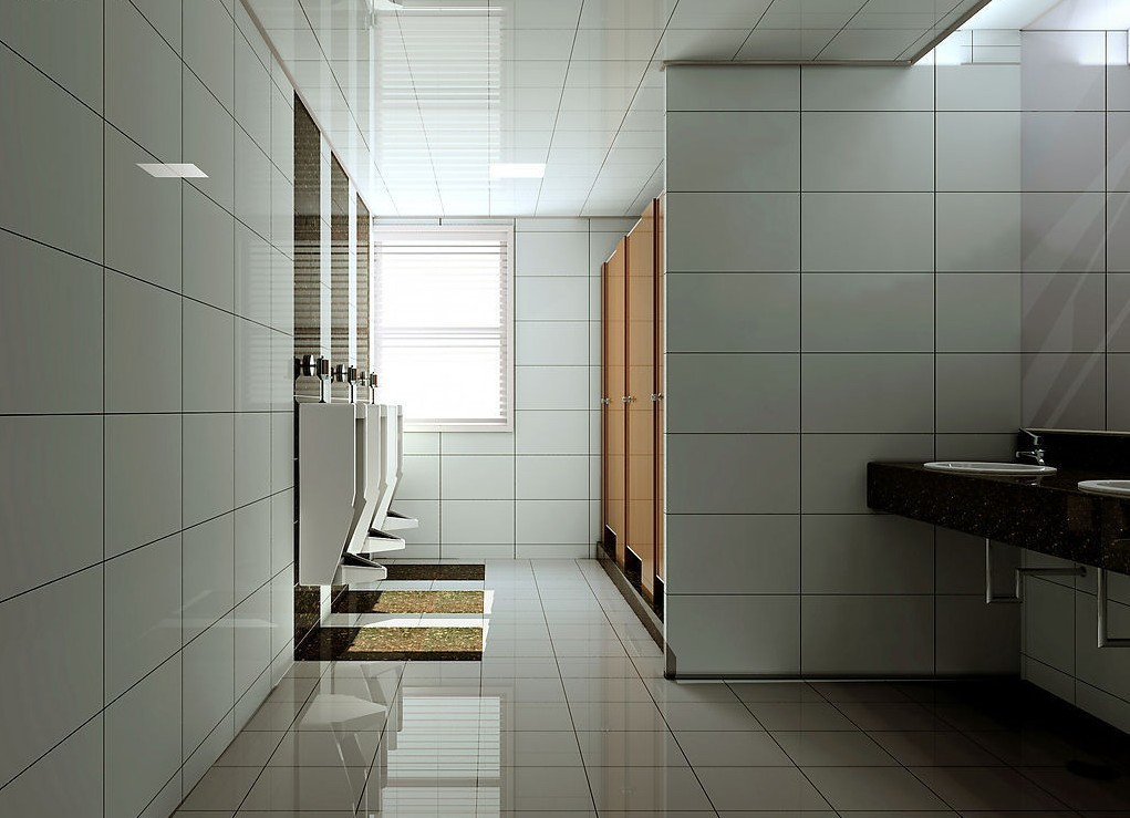 Simple 3d Design Walls And Ceilings For Public Toilets House
