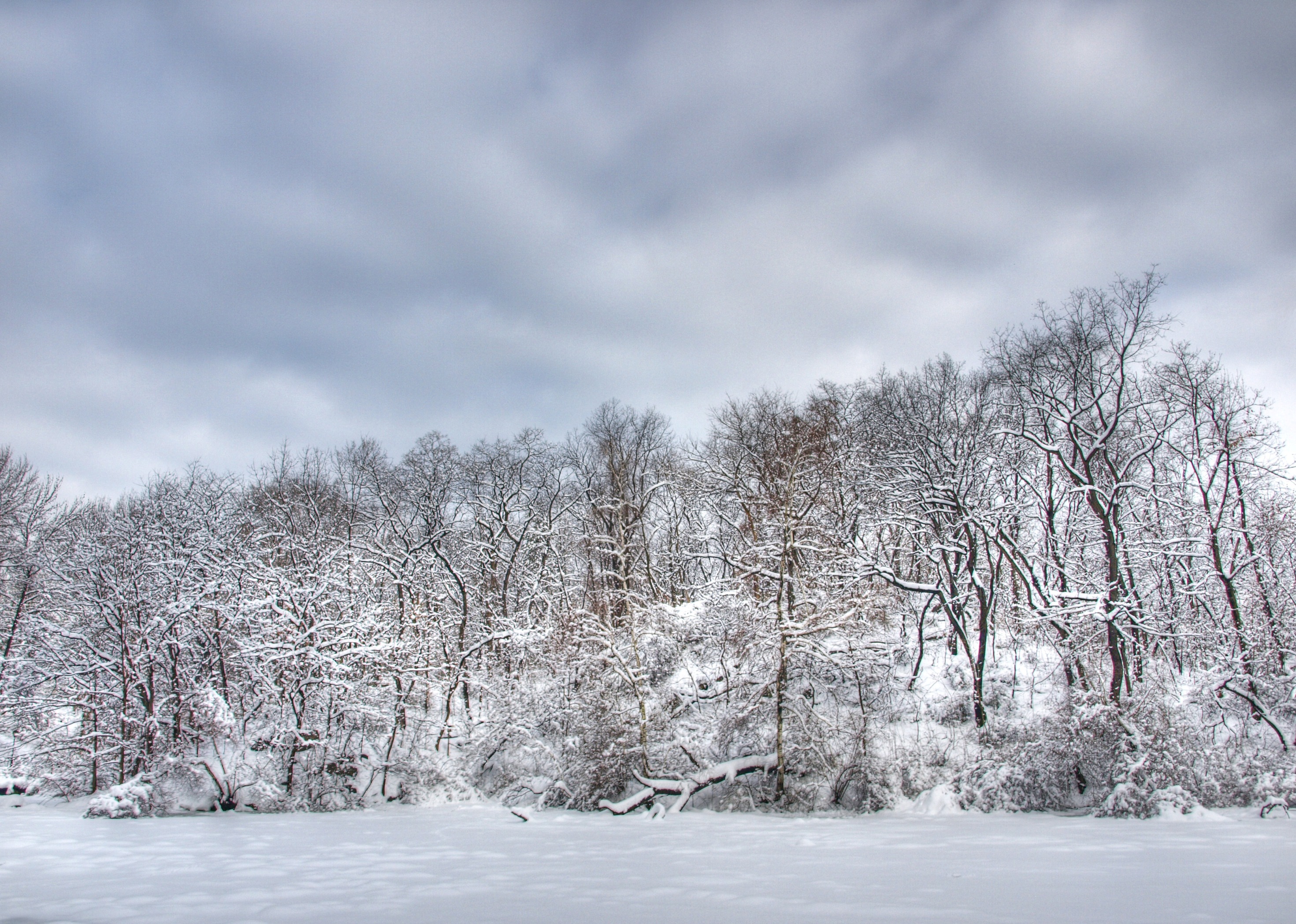Frozen Pond Image Photo
