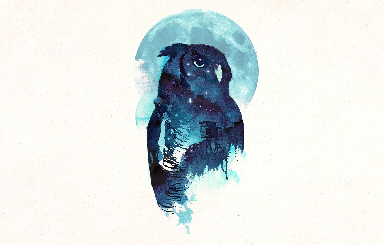 Wallpaper Owl Midnight Robert Farkas Image For Desktop Section