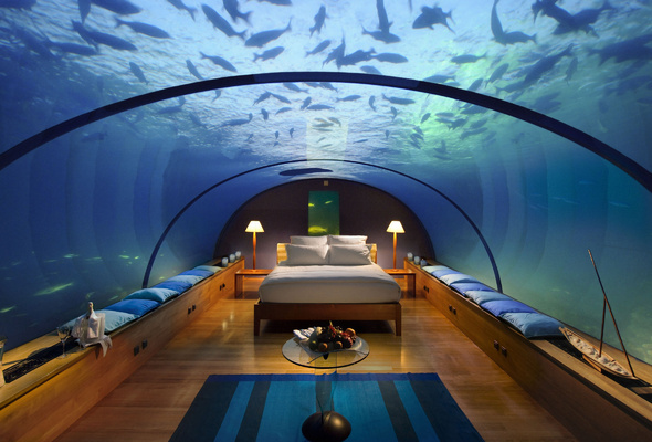 Wallpaper Room Flat Underwater Fish Bed Hotel Conrad Maldives