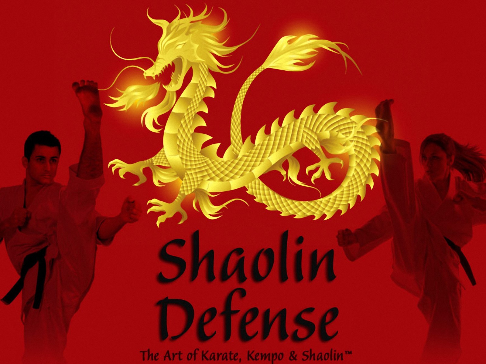 Shaolin Kempo Karate Wallpaper Martial Art Pictures