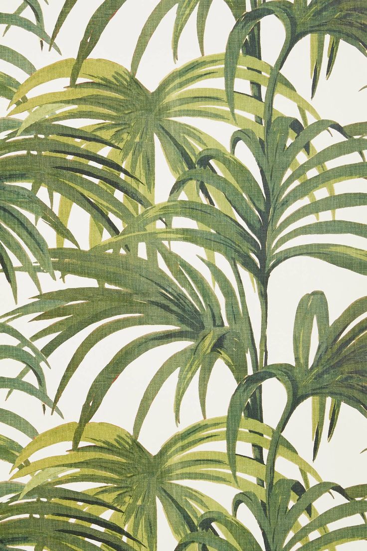 Palm Print Palmae Wallpaper Prints Pattern Leaf Pattern Wallpaper
