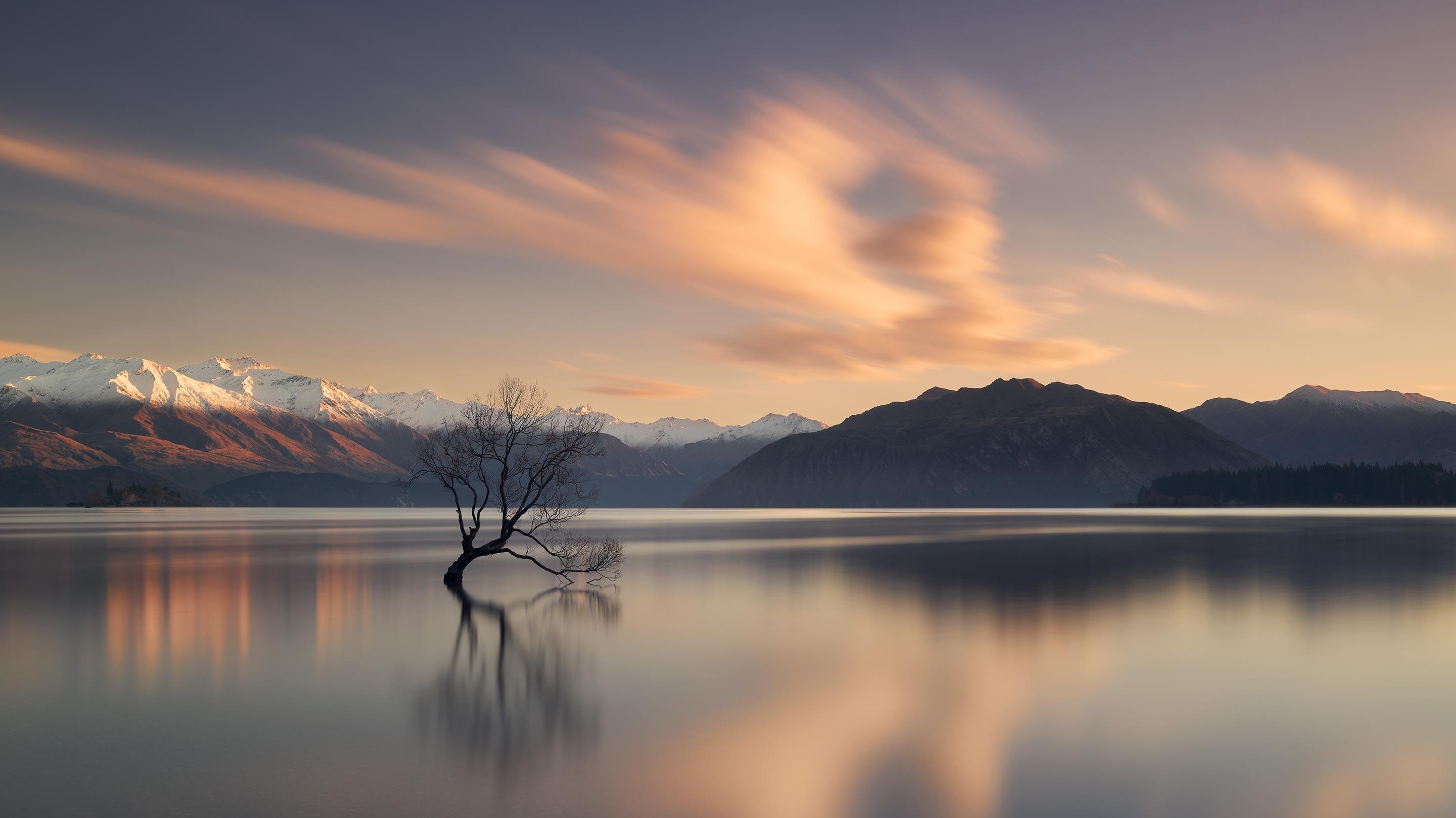 Presence Buy The Limited Edition Luxury Fine Art Print Online
