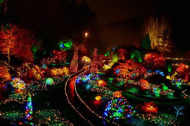 Christmas Wonderland   National Geographic Photo Contest 2012