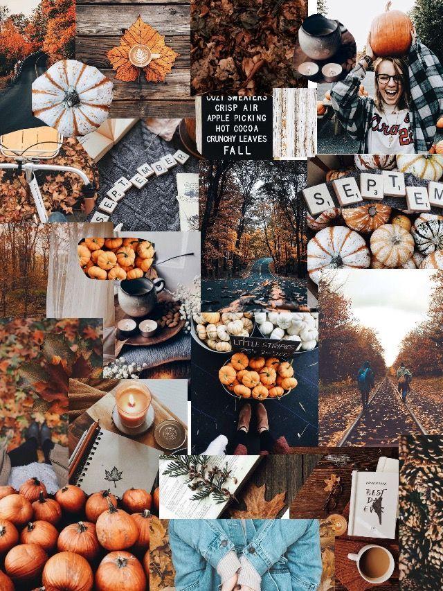 🔥 Free download W A L L P A P E R wallpaper fall autumn Thanksgiving ...