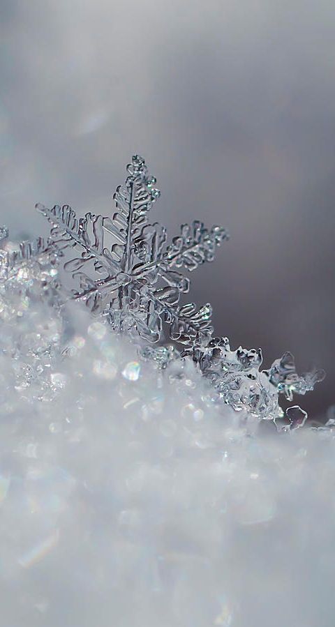 Winter Phone Wallpaper More Natal Snowflake