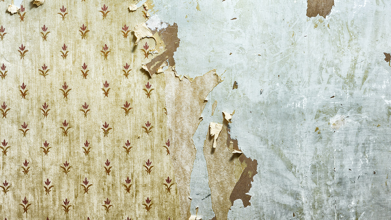 Stuck With Old Wallpaper Paint Over It Miller Hobbs Group