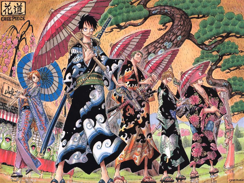 Full Anime One Piece Wallpaper