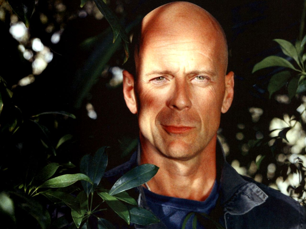 Bruce Willis HD Desktop Wallpapers 7wallpapersnet