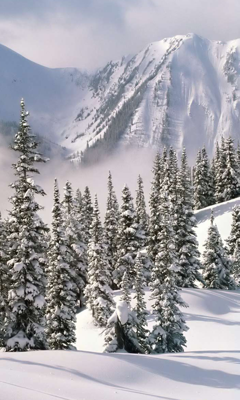 Winter HD Live Wallpaper For Android